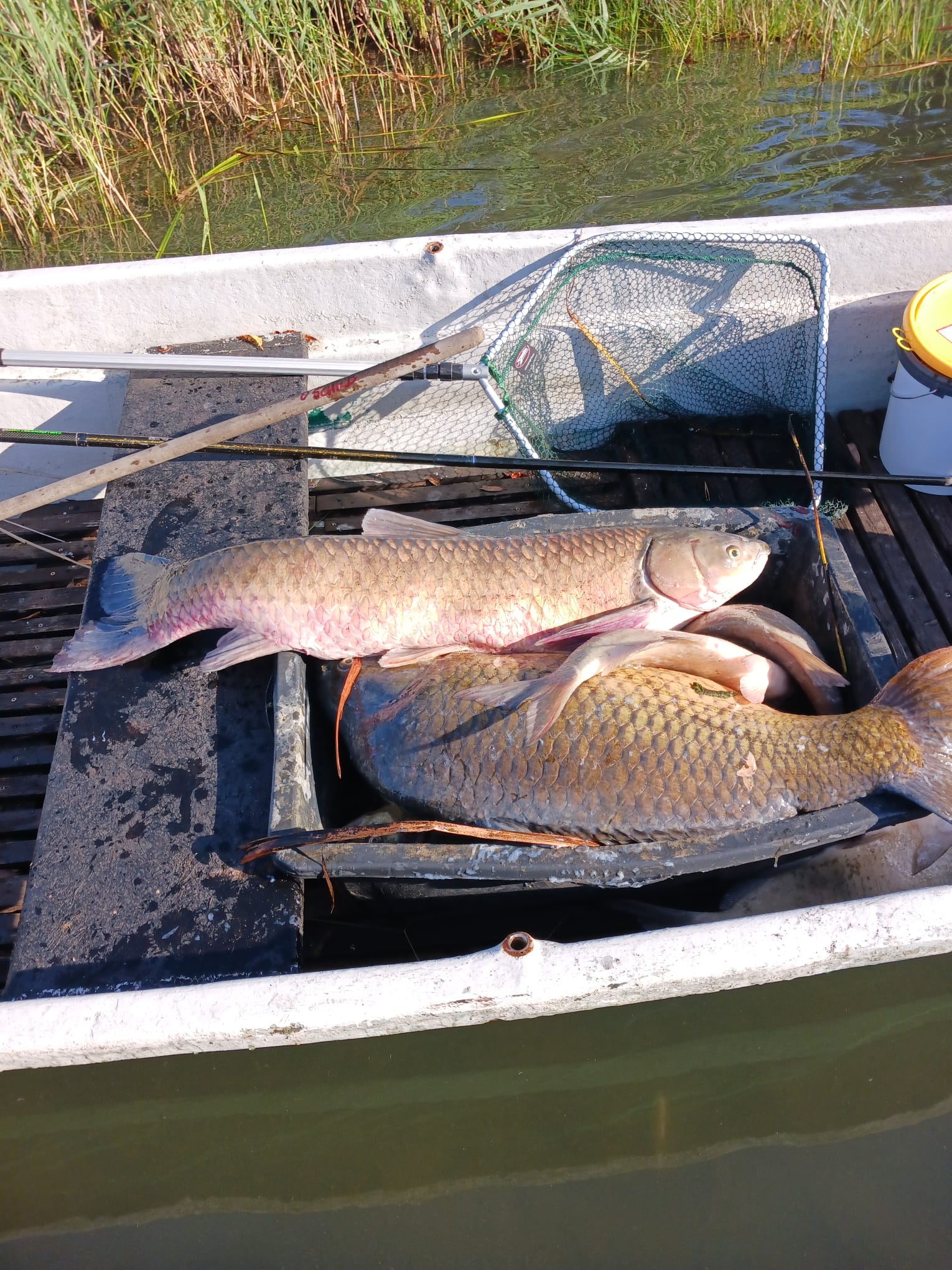 Sauerstoffmangel 2023